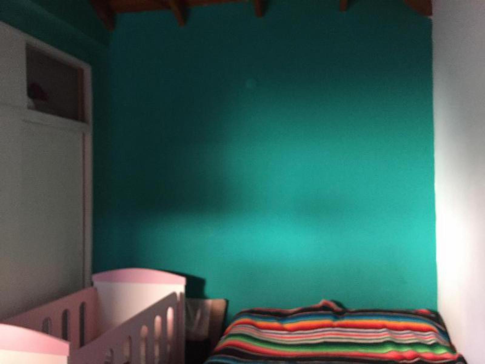 Bolivia 532 · Tigre — foto 4