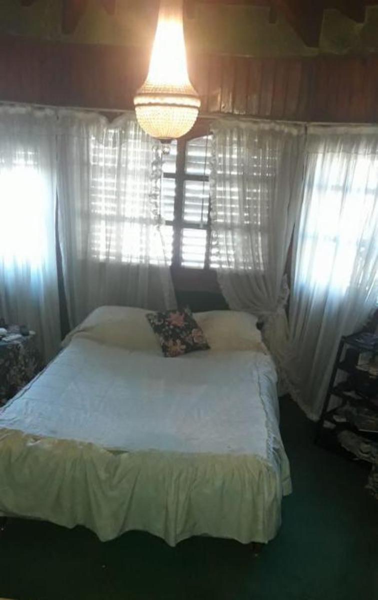 Bolivia 532 · Tigre — foto 5
