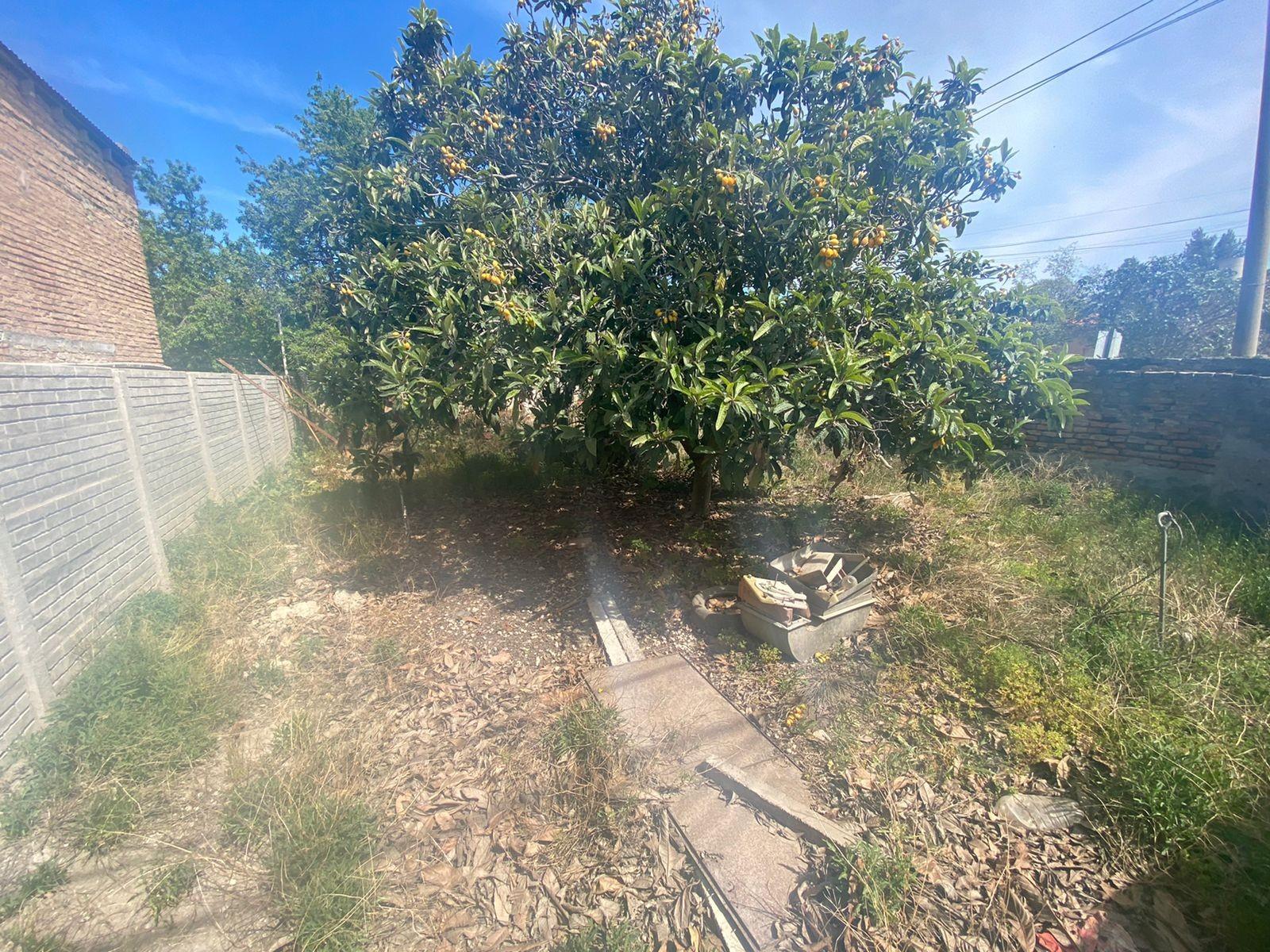 IRIGOYEN ESQ STA FE · Patagones — foto 11