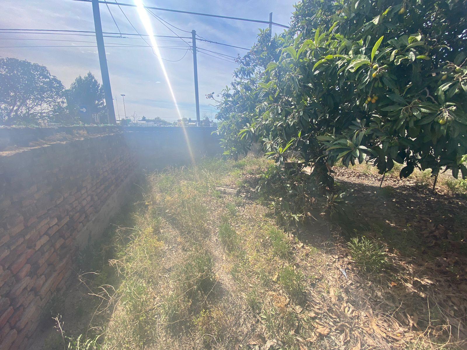 IRIGOYEN ESQ STA FE · Patagones — foto 15