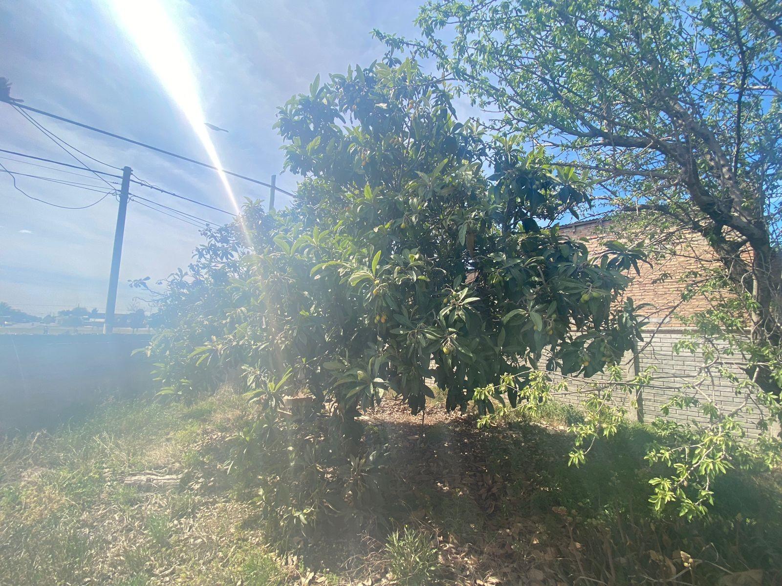 IRIGOYEN ESQ STA FE · Patagones — foto 16