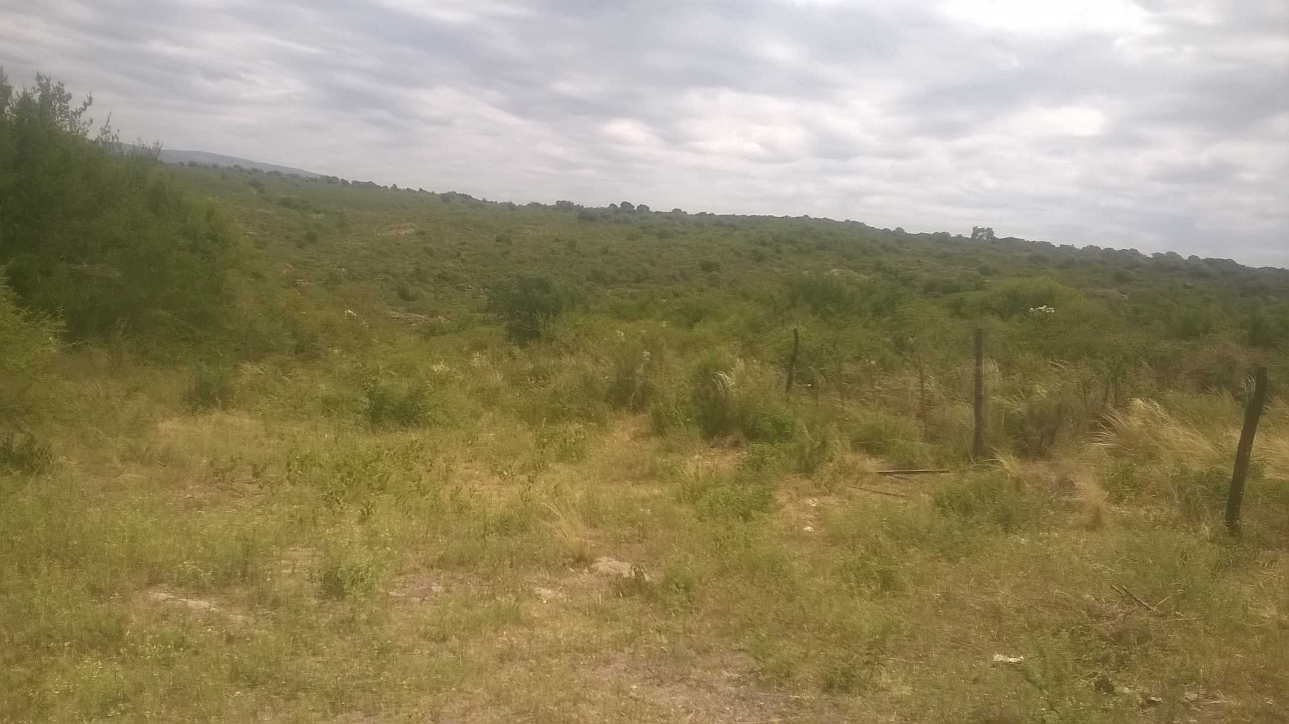 Cañada chiariano · Punilla — foto 4