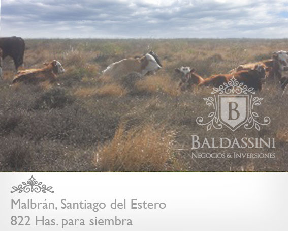 822 HECTÁREAS EN MALBRAN - SANTIAGO DEL ESTERO MIXTO