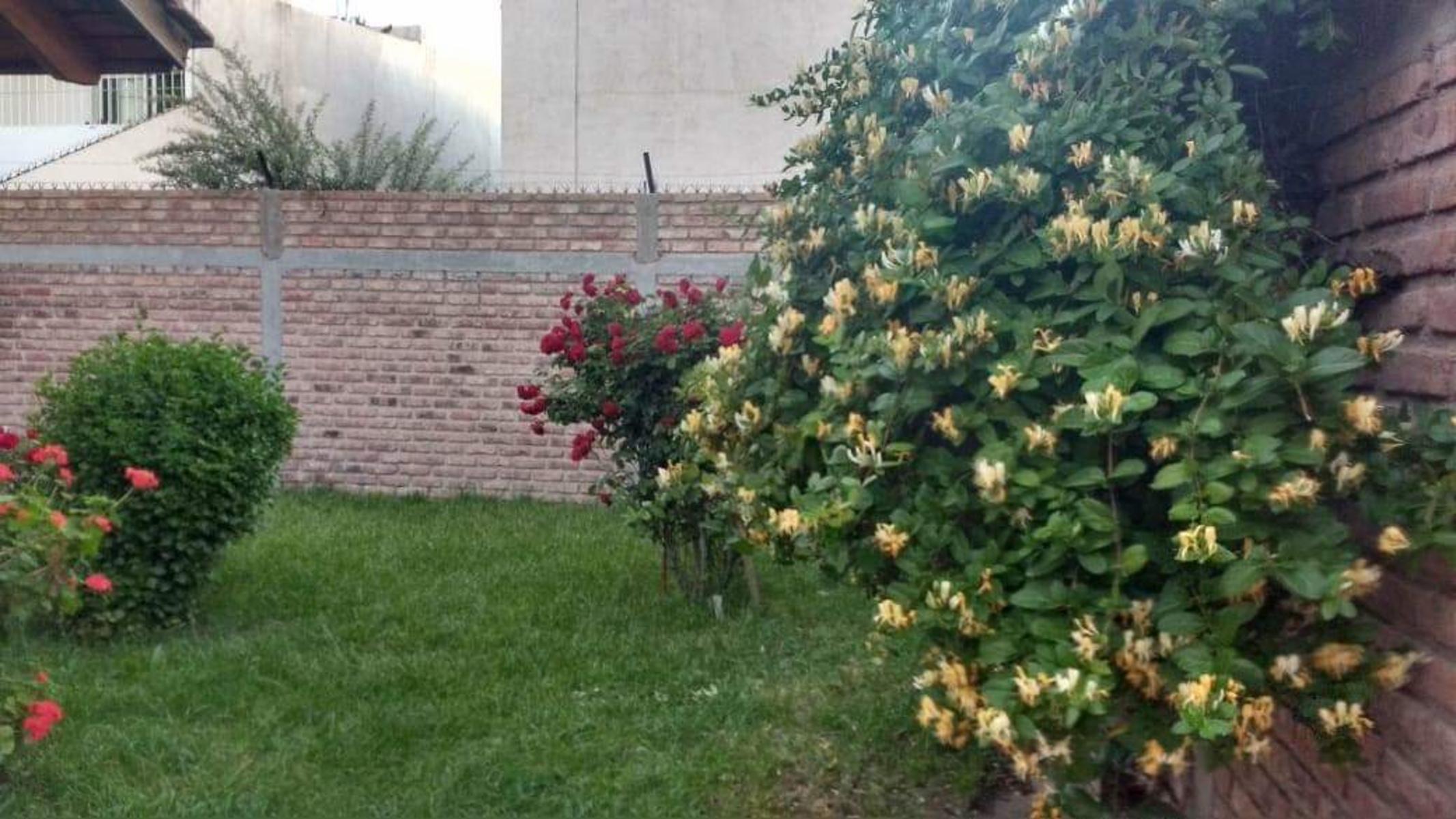Maestro Lucero 3250 · Confluencia — foto 3