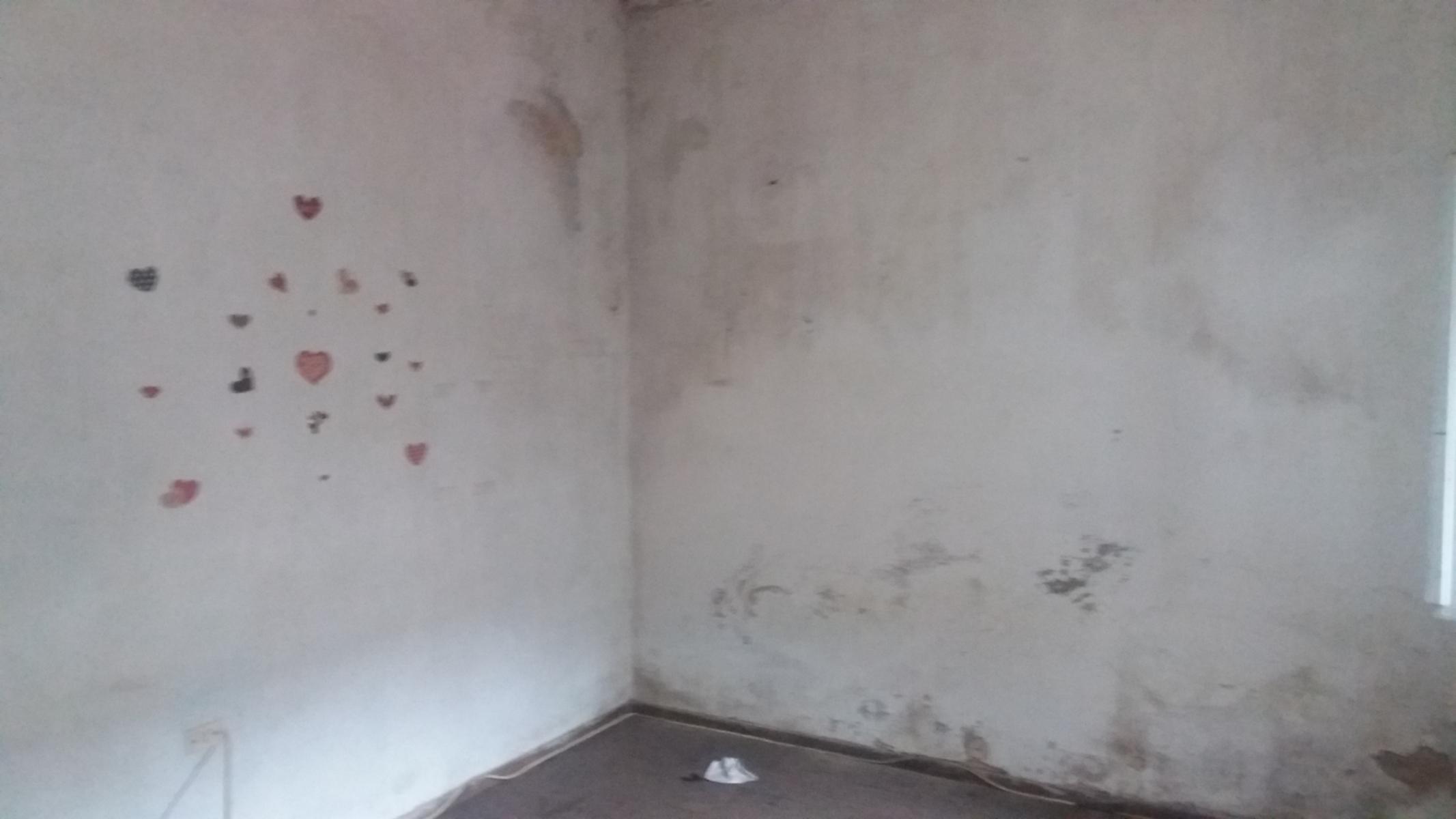 CASA EN LOTE PROPIO, MUY BUENA UBICACIÓN CON LOTE DE 8.66 X 40