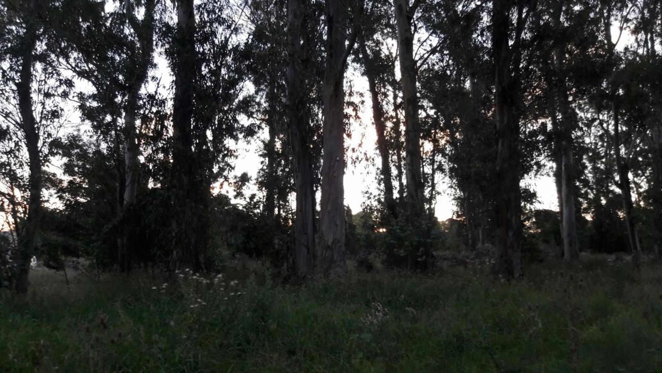 LOTE DE TERRENO en Venta En Verónica