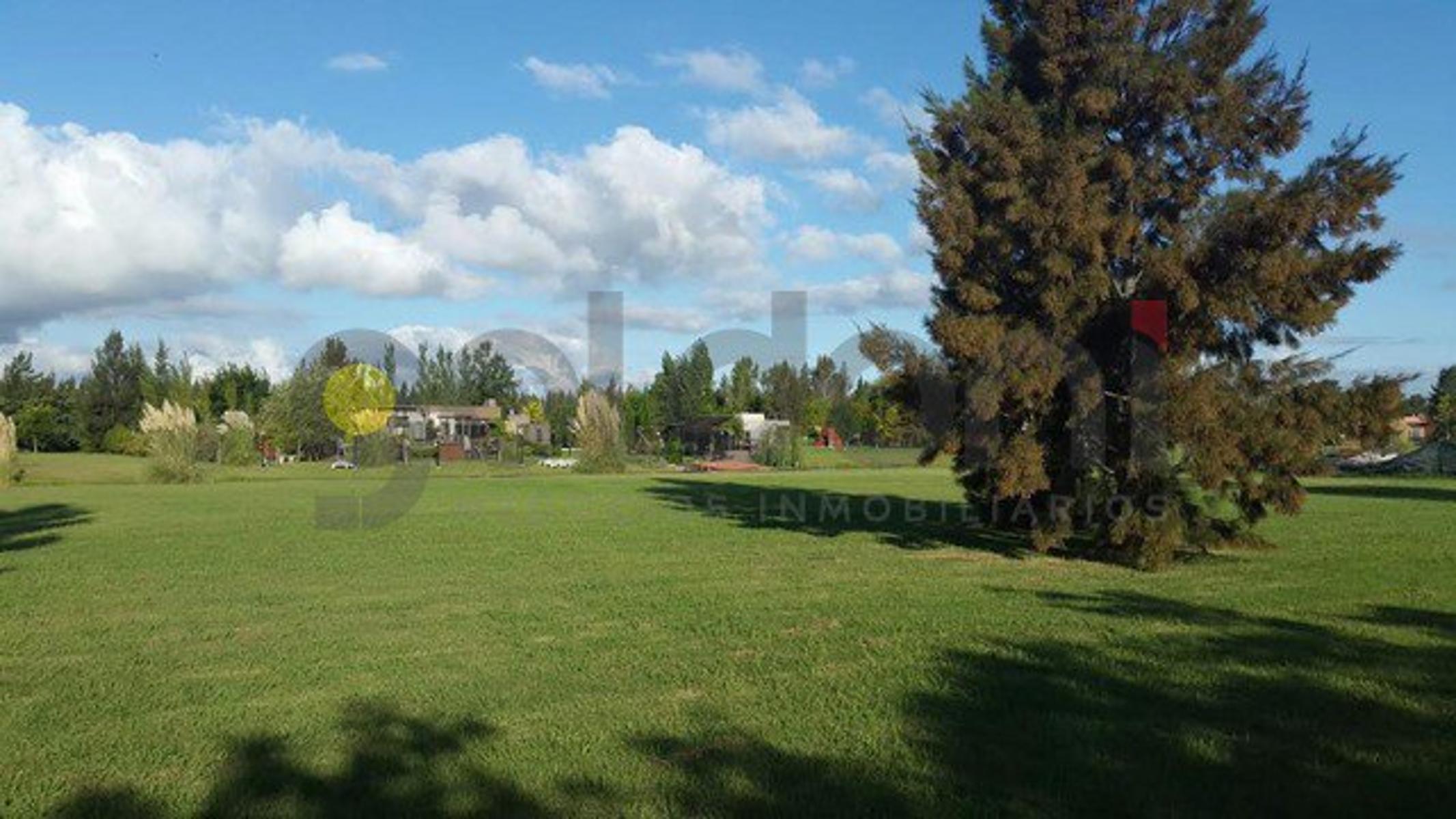 ruta 2 km 72.200 · Brandsen — foto 3
