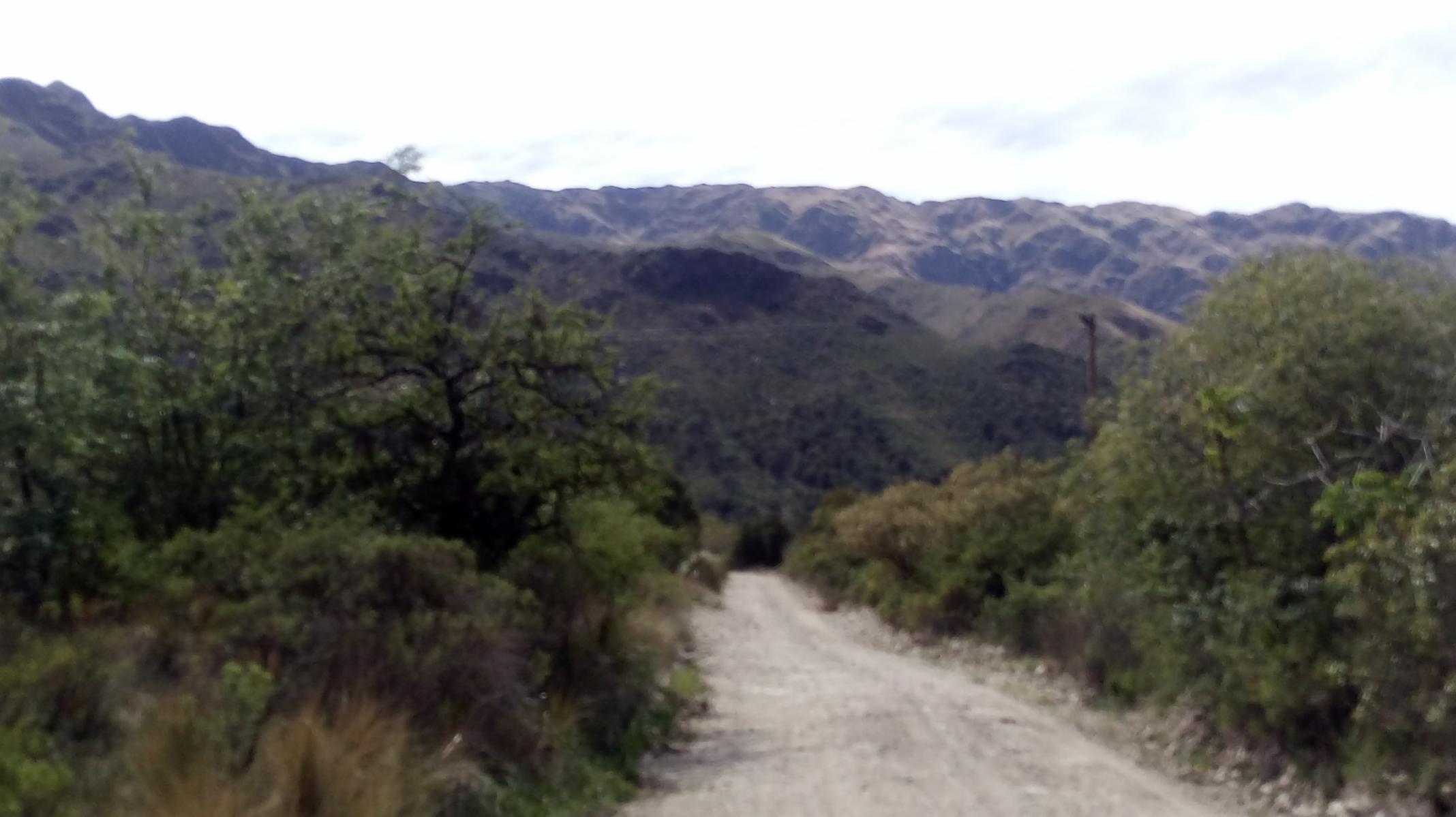 EL RINCON -MERLO · Junín — foto 3