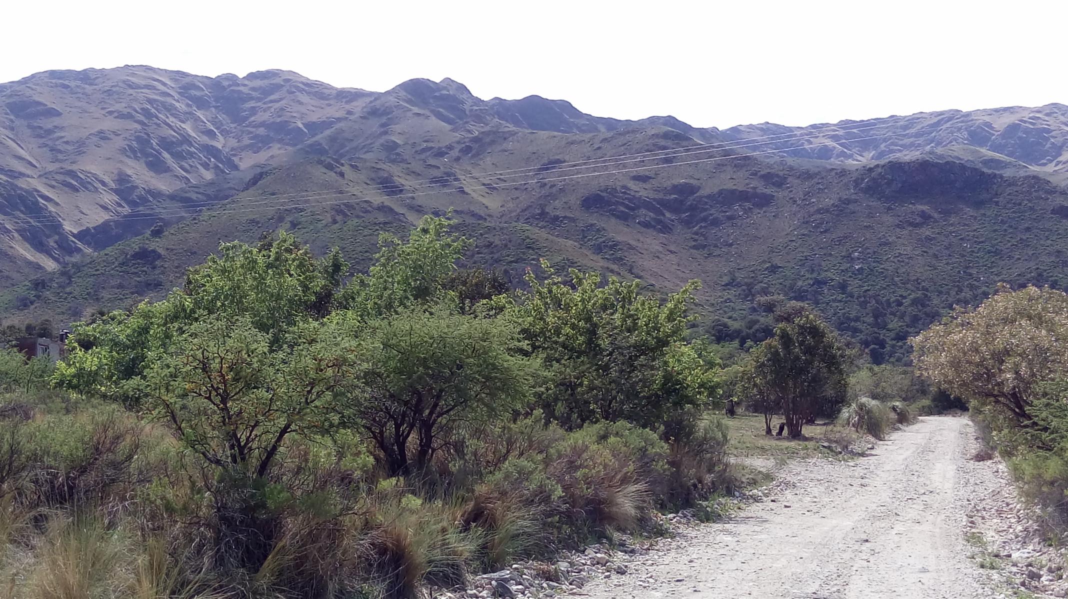 EL RINCON -MERLO · Junín — foto 4