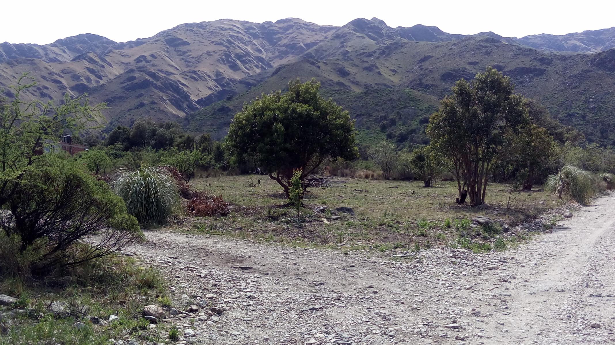 EL RINCON -MERLO · Junín — foto 6