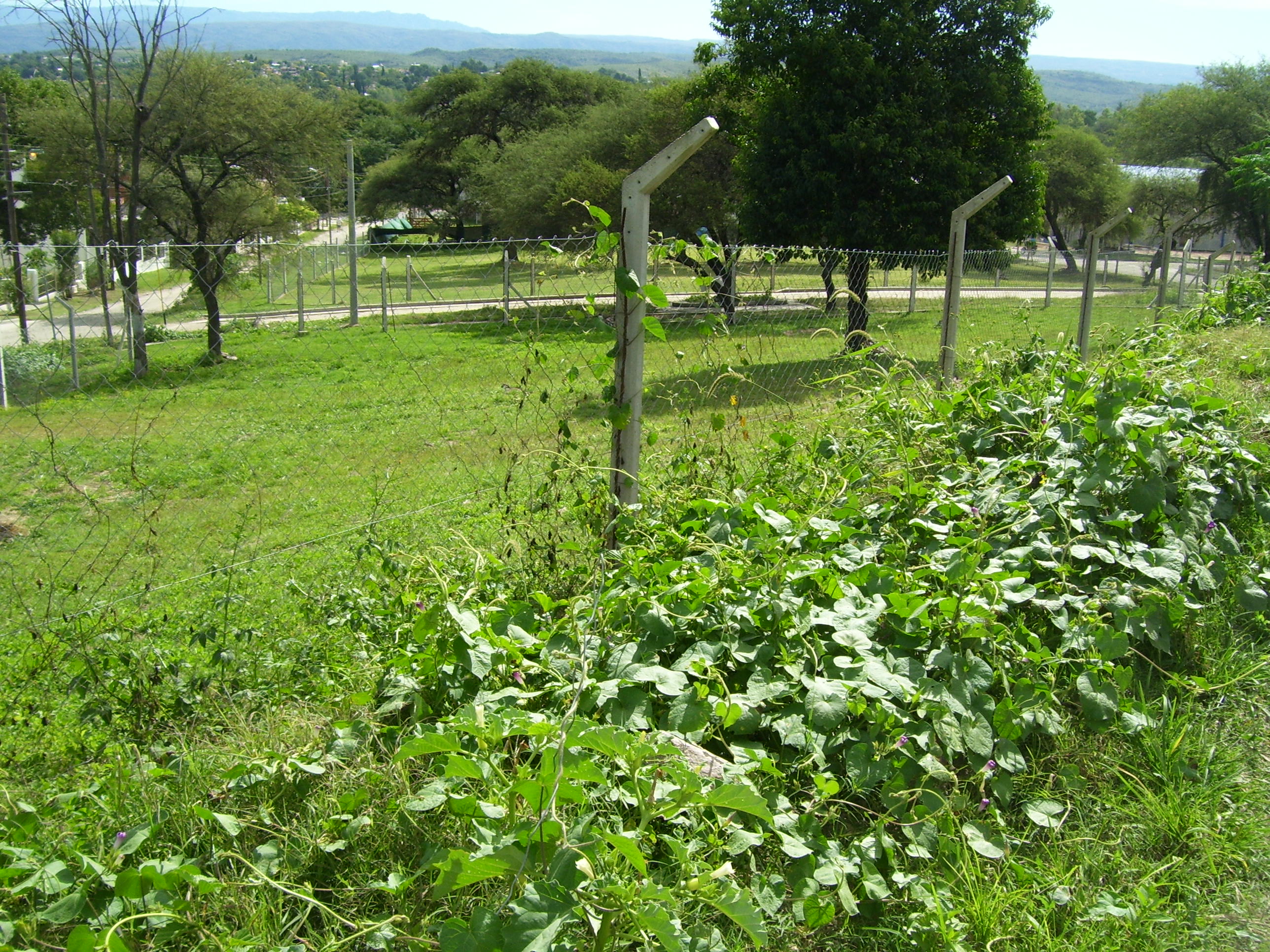 VENTA TERRENOS
