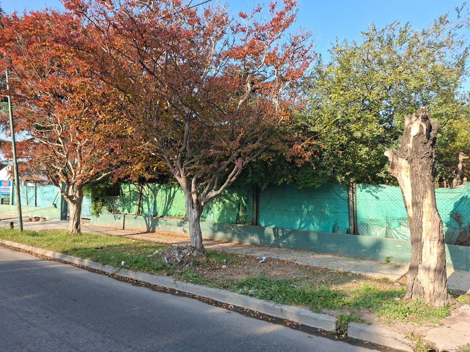 Diagonal san martin 5500 · San Martín — foto 20