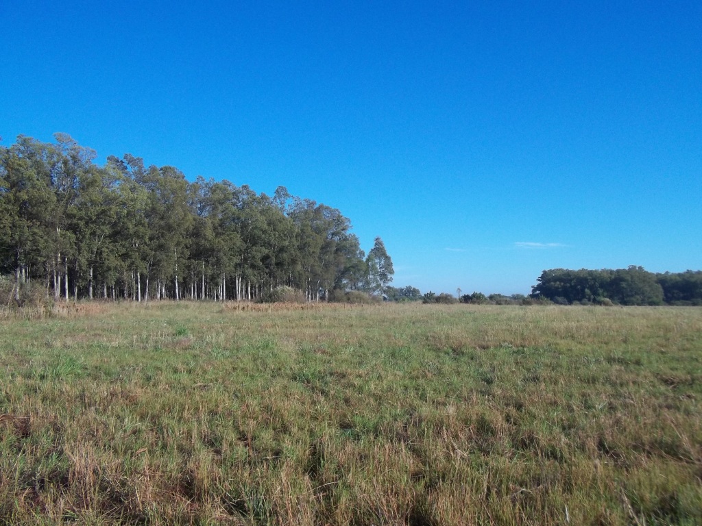 Campos en Entre Ríos