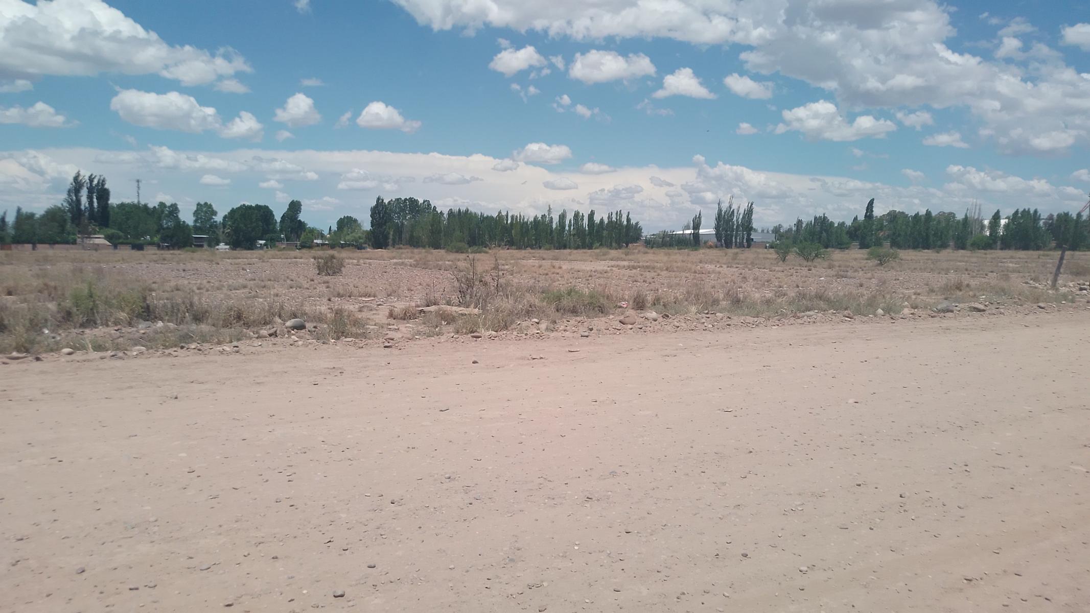CALLE MISTICA Y VERDAD · Luján de Cuyo — foto 3