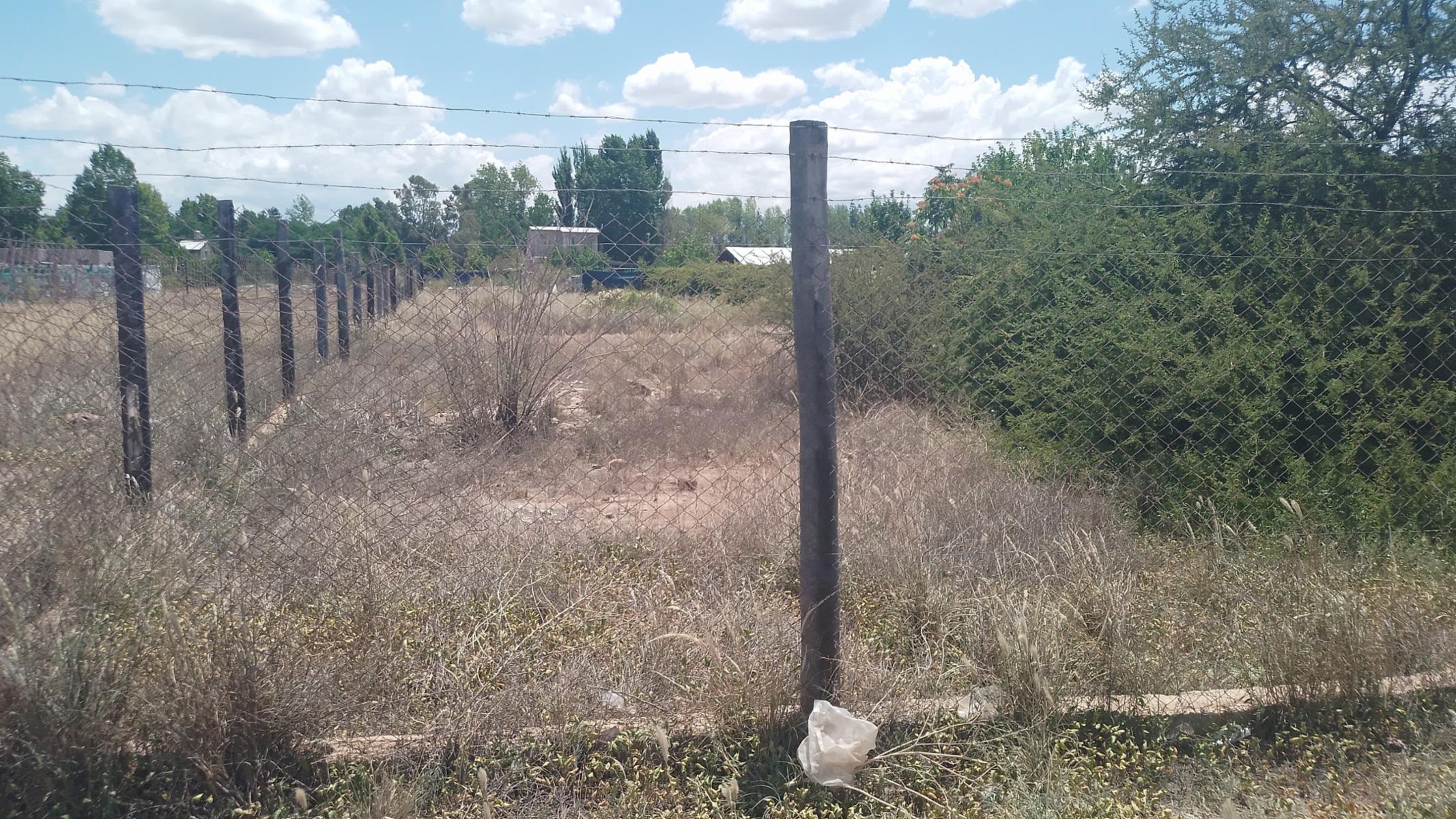 CALLE MISTICA Y VERDAD · Luján de Cuyo — foto 4