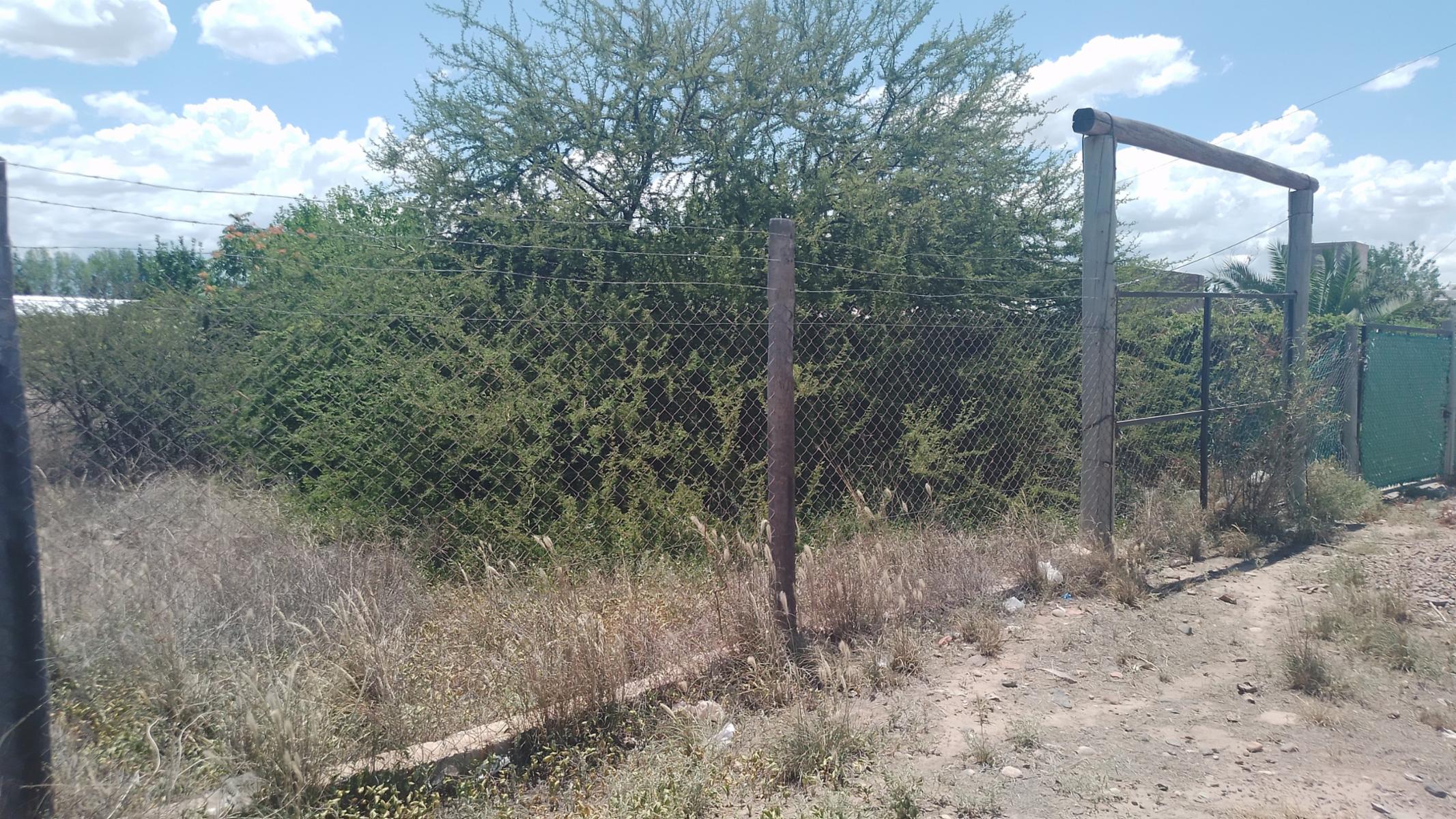 CALLE MISTICA Y VERDAD · Luján de Cuyo — foto 6