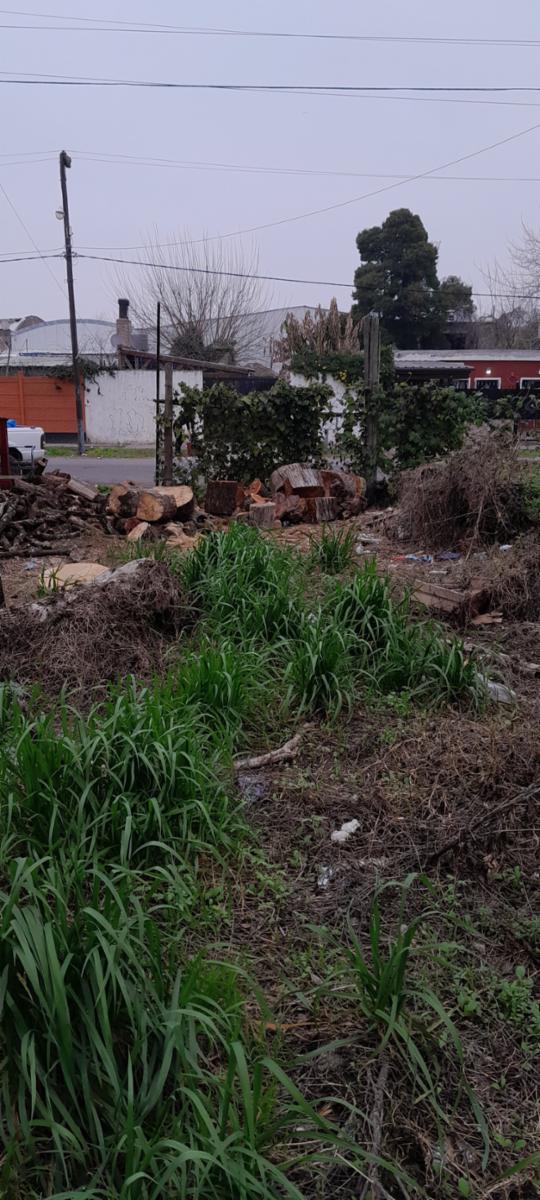 CATAMARCA Y RUTA 210 · Presidente Perón — foto 4