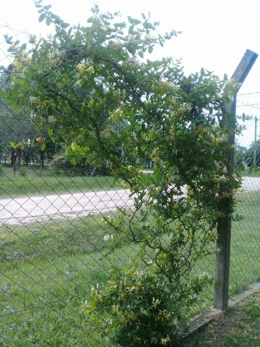 MORENO al 400 · General Las Heras — foto 6