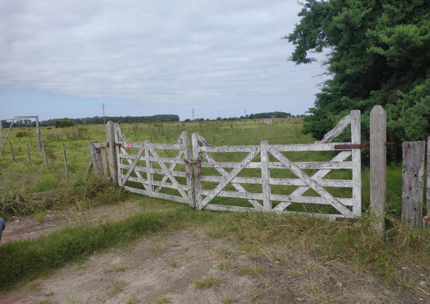 CAMPO en Venta en Punta Indio - sobre Ruta