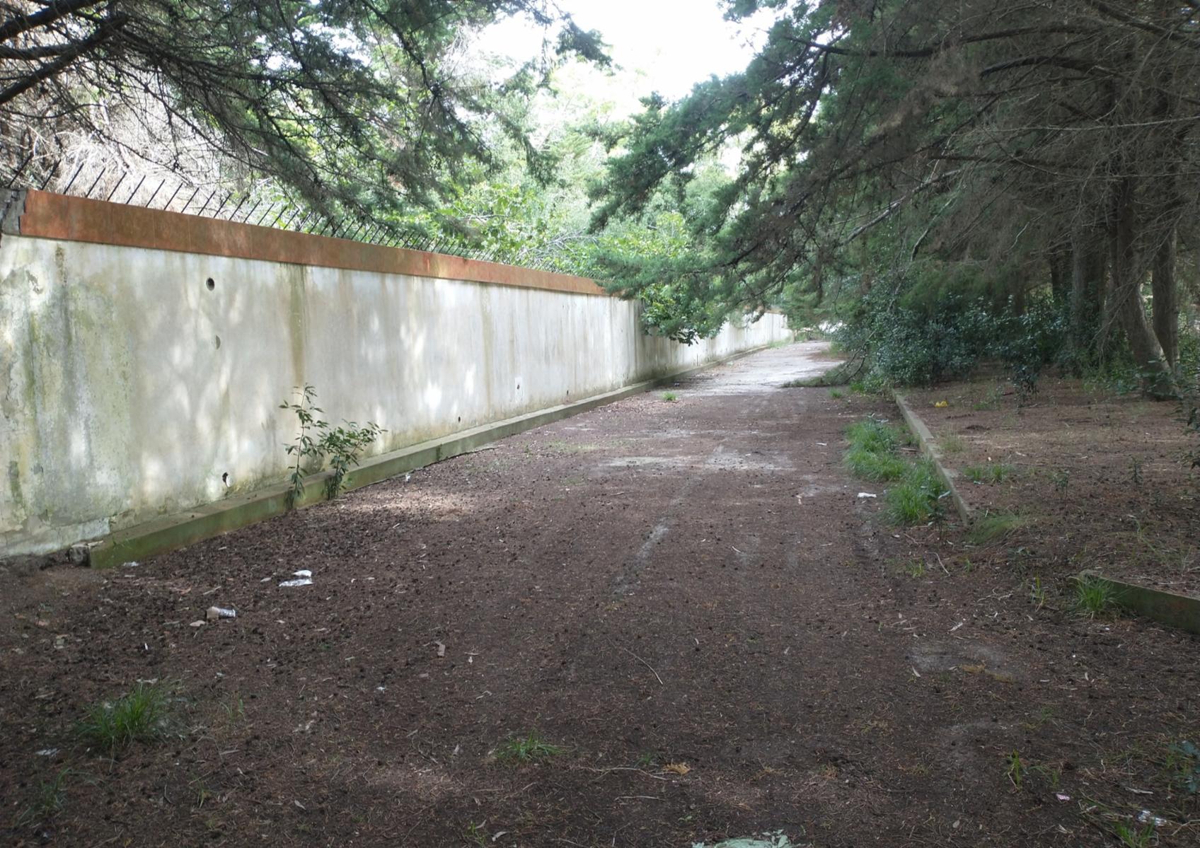 Ruta 36 km 118 · Punta Indio — foto 5