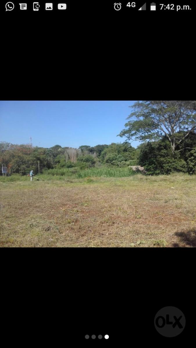 CAMPO MIXTO EN MISIONES.