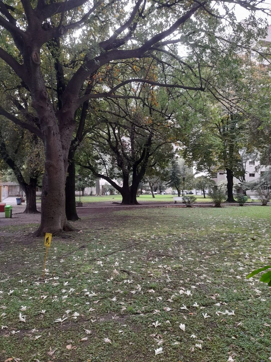 DONOVAN 1800 · La Matanza — foto 20