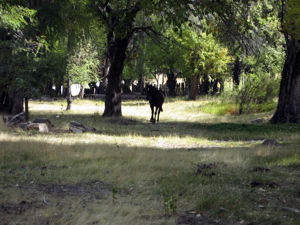 Ruta 70 · Cushamen — foto 10
