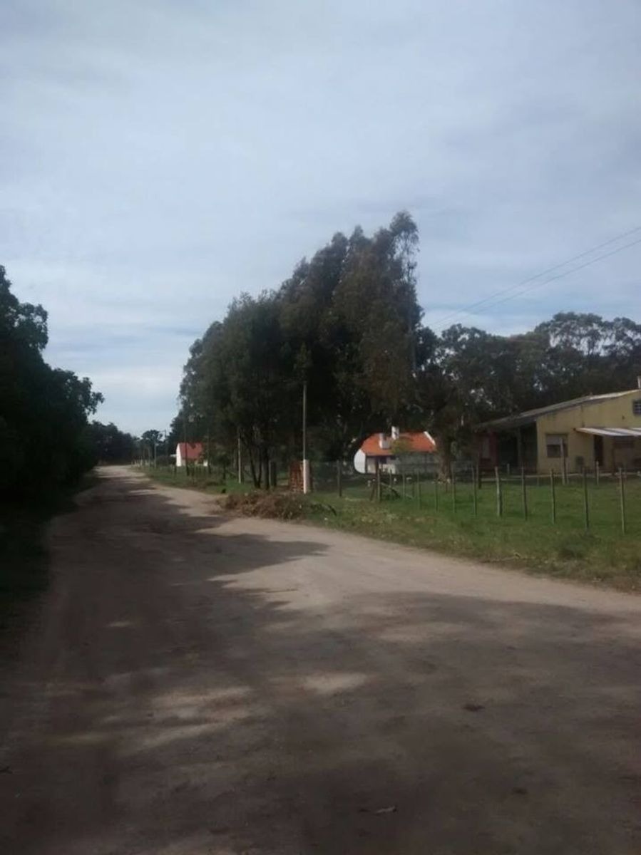 CALLE: 177 · Necochea — foto 4