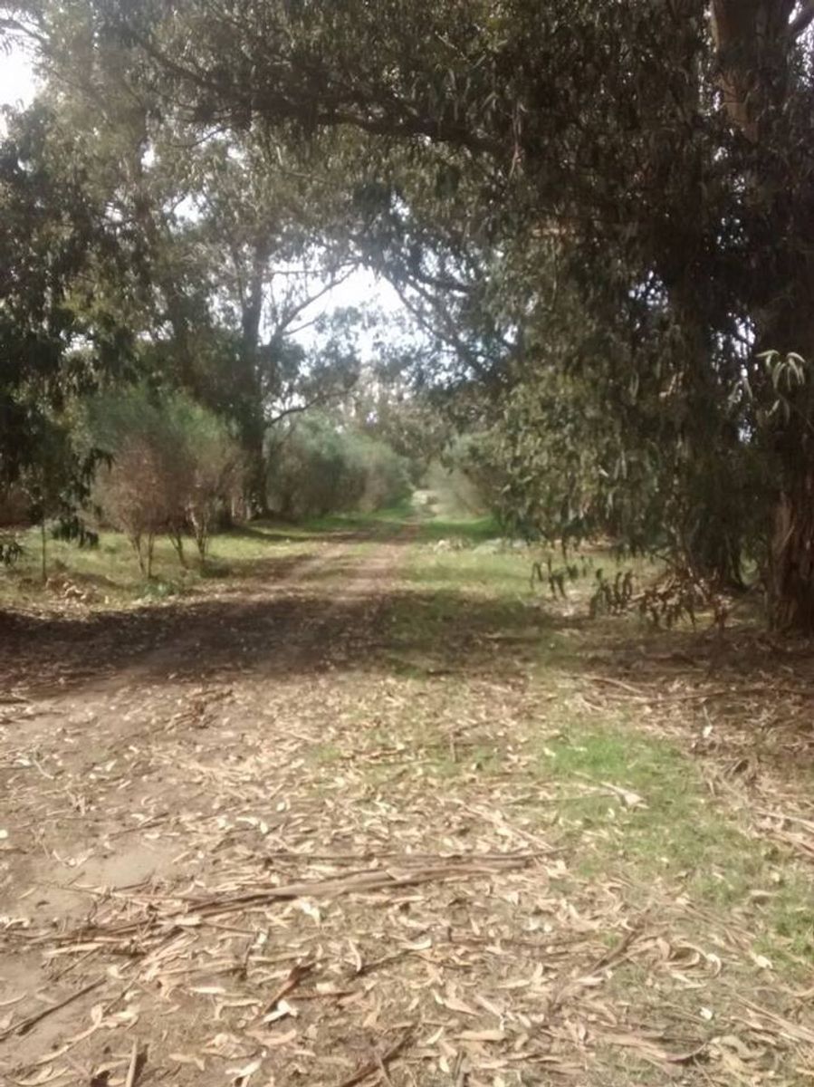 CALLE: 177 · Necochea — foto 6