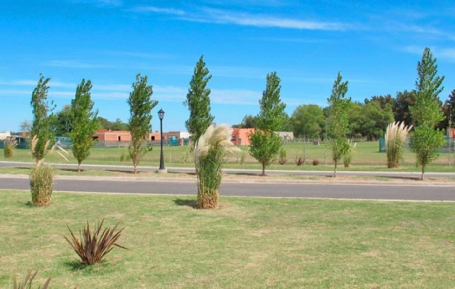Barrio San Simon · Ezeiza — foto 3