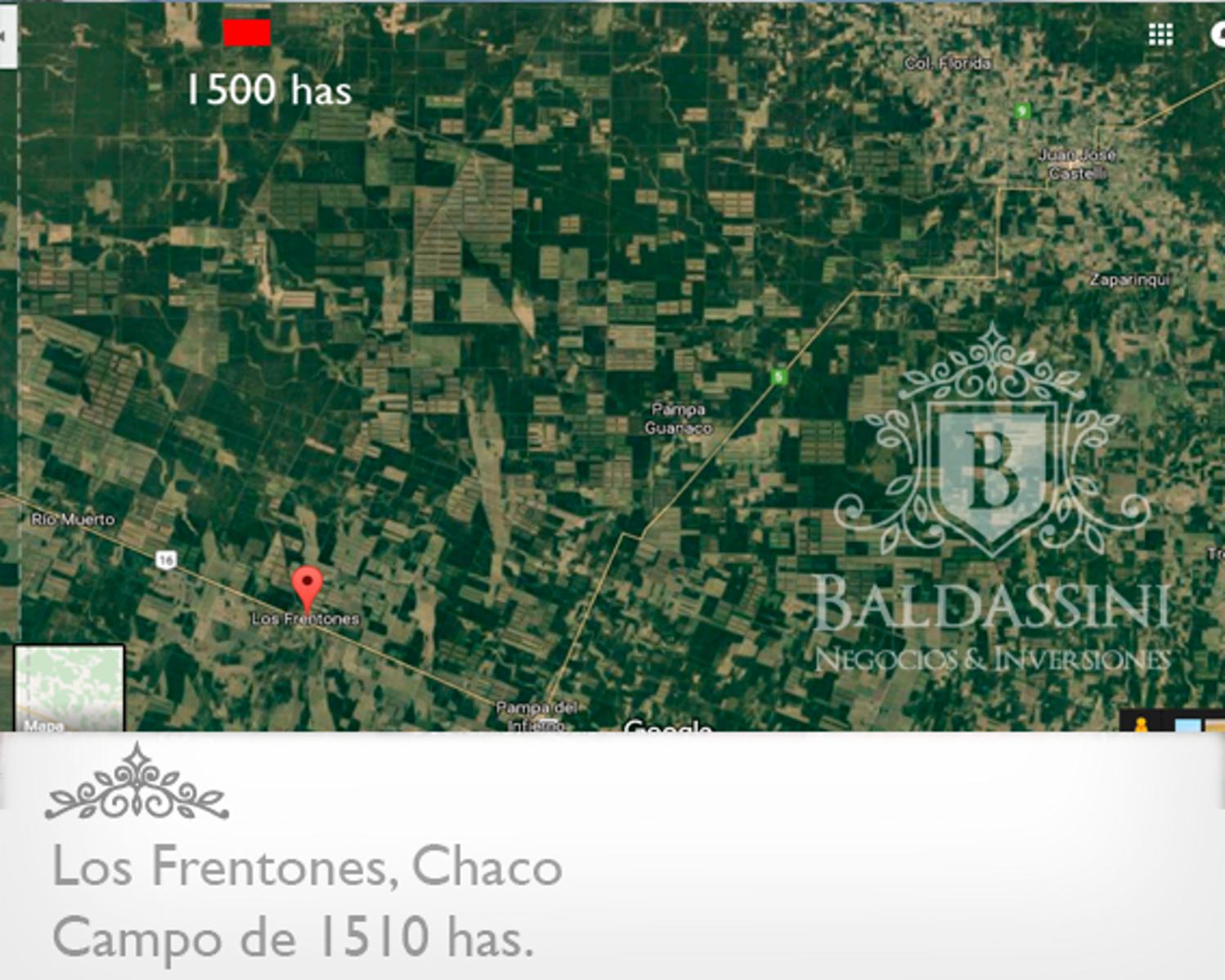 CAMPO DE 1510 HAS EN LOS FRENTONES - CHACO - CAMPO GANADERO CON MUY BUENA APTITUD AGRÍCOLA.