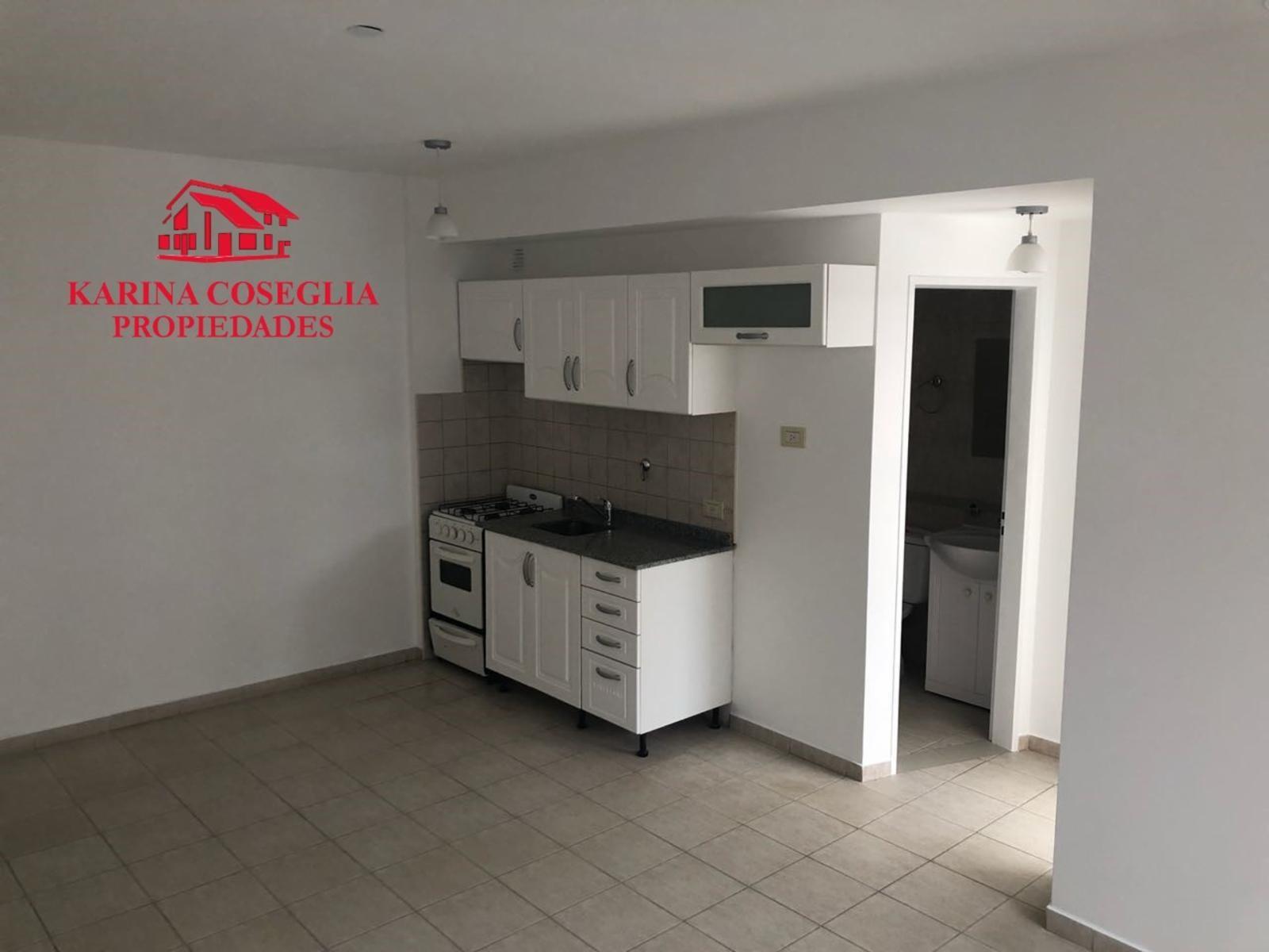 PERON 500 · San Miguel — foto 4