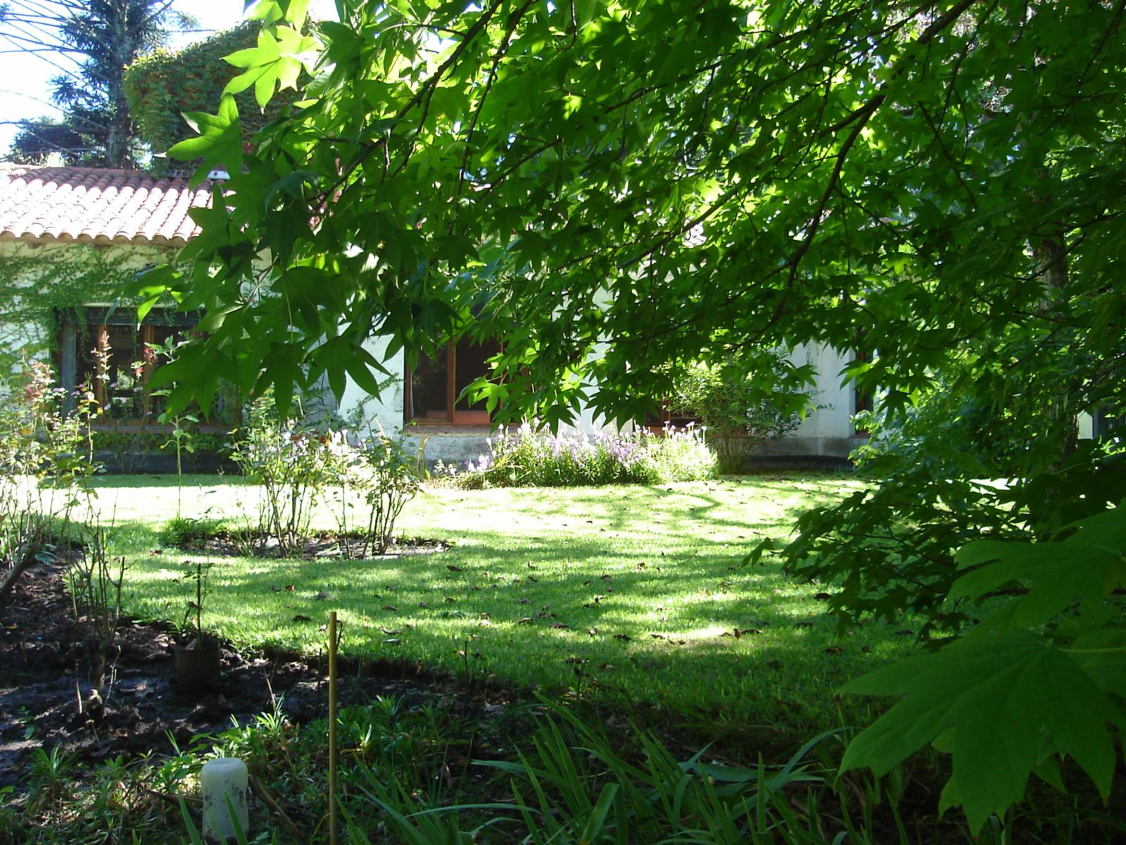 VIDALITA · Ituzaingó — foto 19