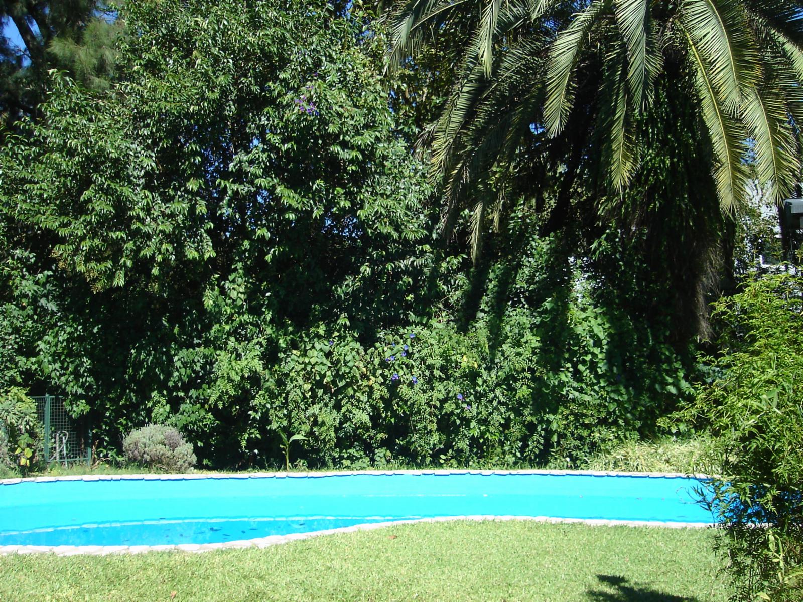 VIDALITA · Ituzaingó — foto 22