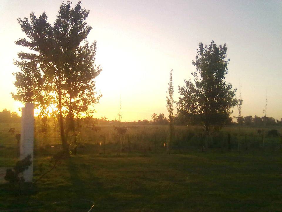 Ruta 34 Km 21,5 · Rosario — foto 6