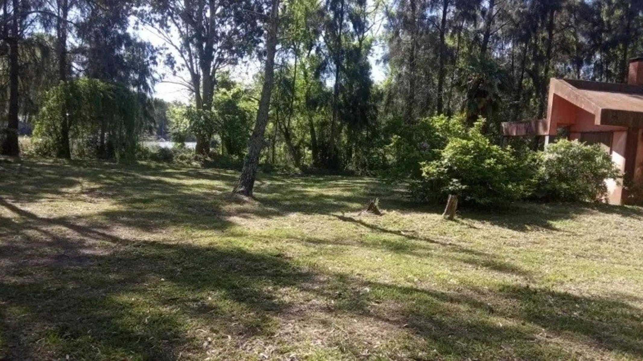 Rio Lujan · Tigre — foto 3
