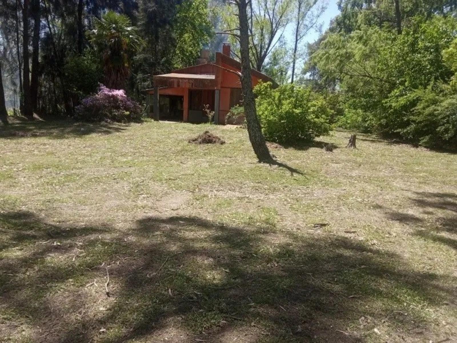 Rio Lujan · Tigre — foto 4