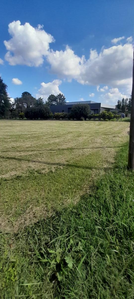 RUTA NACINONAL 6 Y CAMINO NAVARRO · General Rodriguez — foto 4