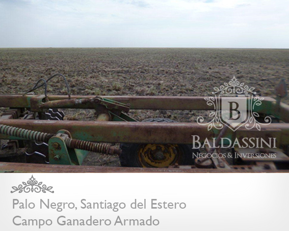 2900 HAS. SOBRE RUTA 34 · Rivadavia — foto 3