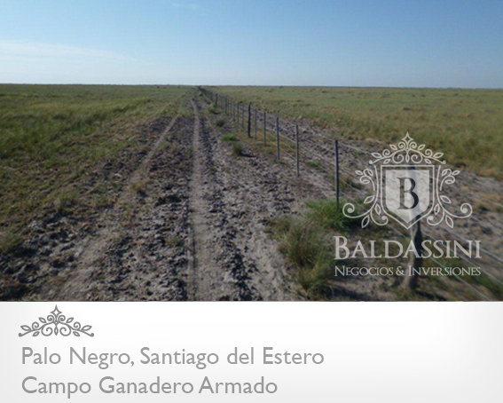 2900 HAS. SOBRE RUTA 34 · Rivadavia — foto 7