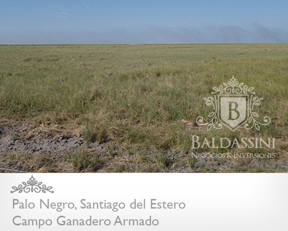 2900 HAS. SOBRE RUTA 34 · Rivadavia — foto 8