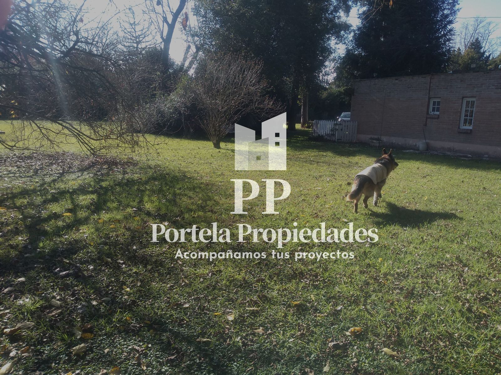 Toscanini al 2900 · Moreno — foto 6
