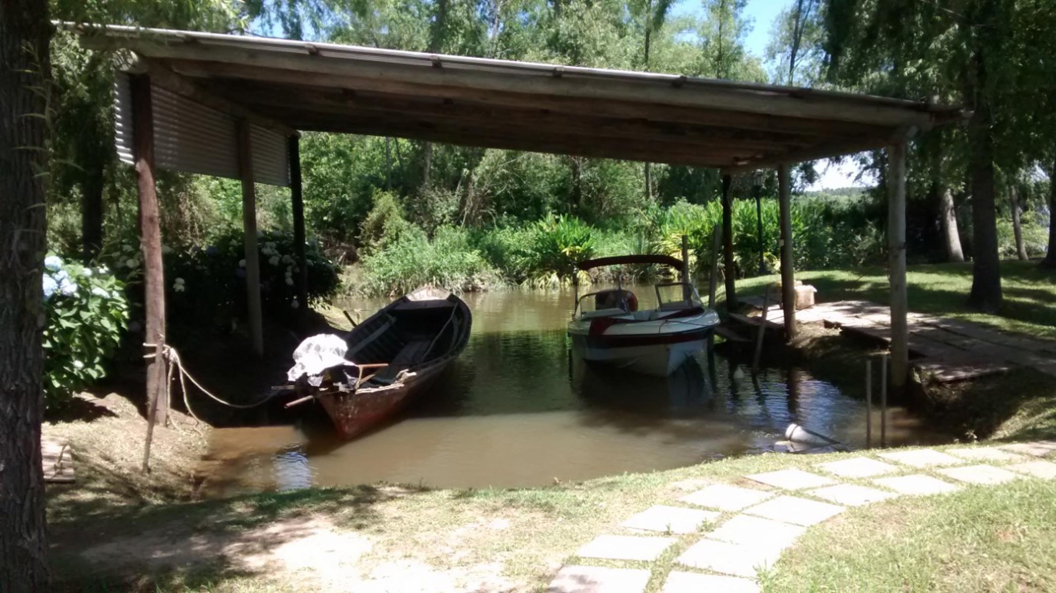 Paran Mini · Tigre — foto 6