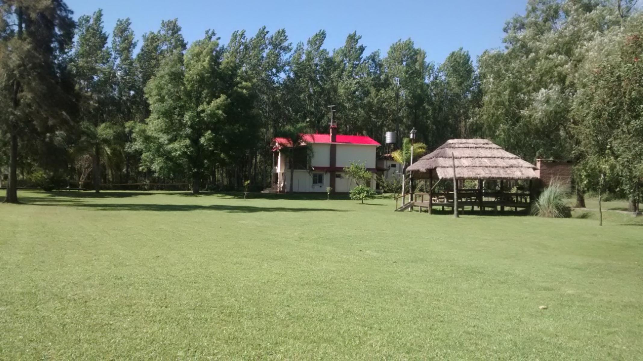 Paran Mini · Tigre — foto 7