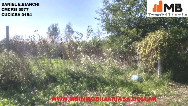 Canal Garcia · Tigre — foto 4