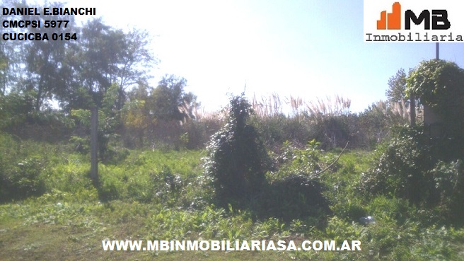 Canal Garcia · Tigre — foto 7