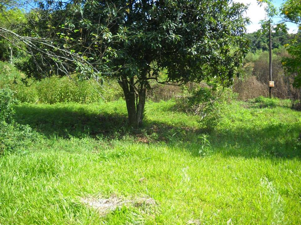 **VENDO CHACRA 12,5 has. SAN MARTIN-MNES**