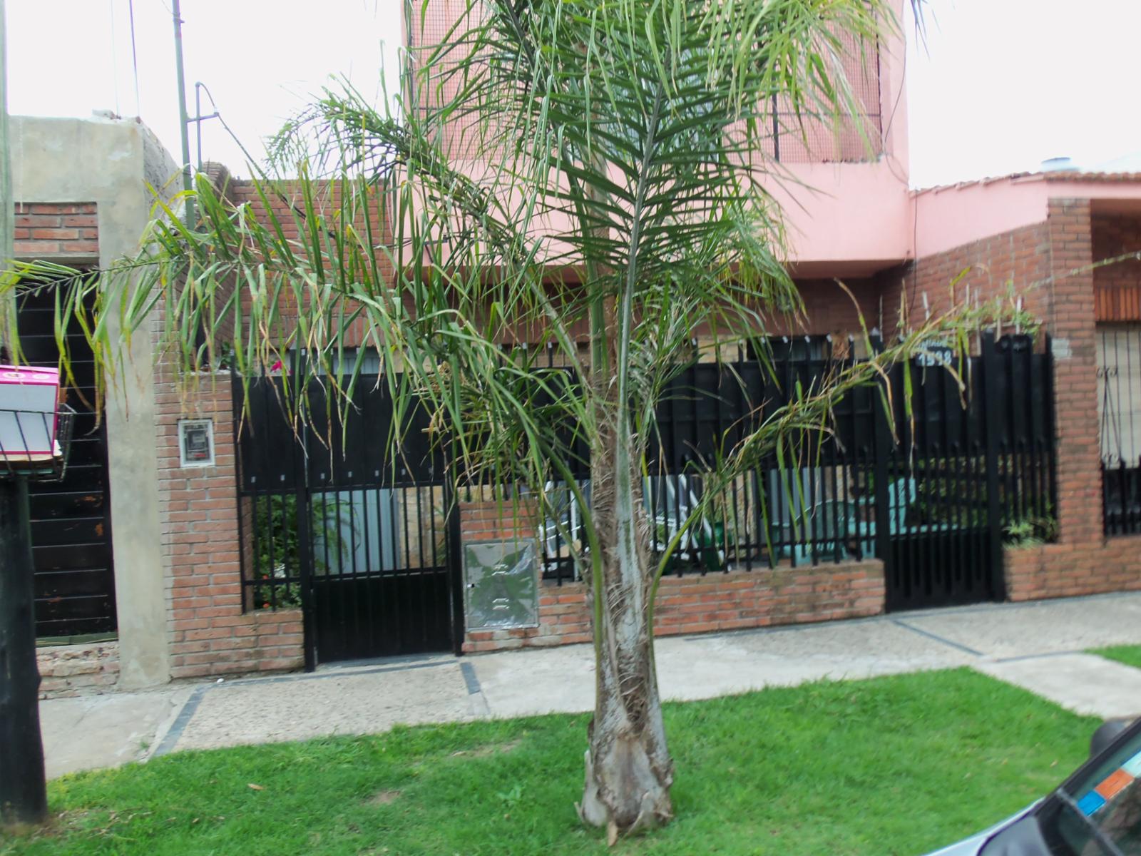 CASA 3 A.  Y DEPTO. 2 A