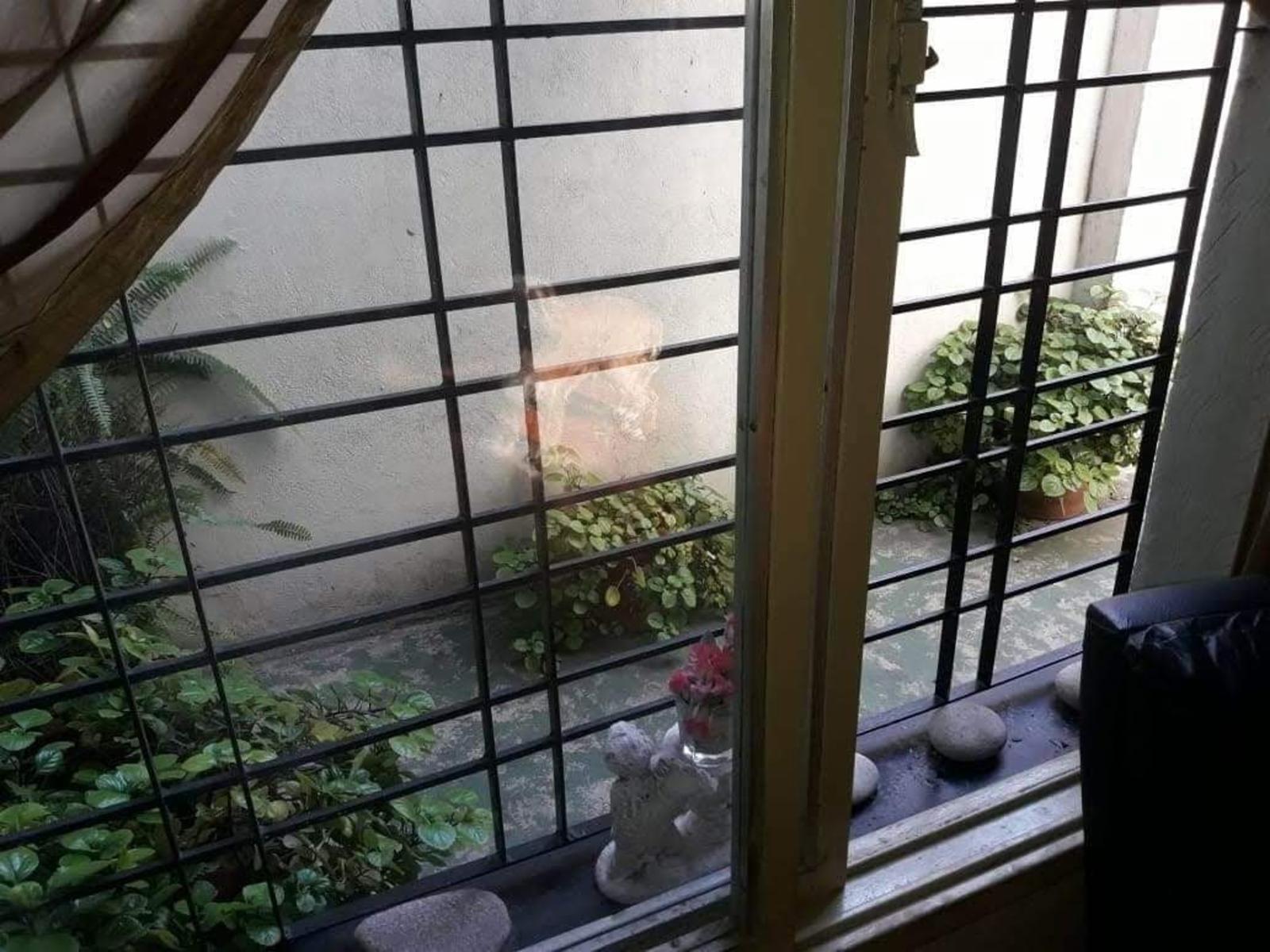 MALABIA 1656 · San Martín — foto 20