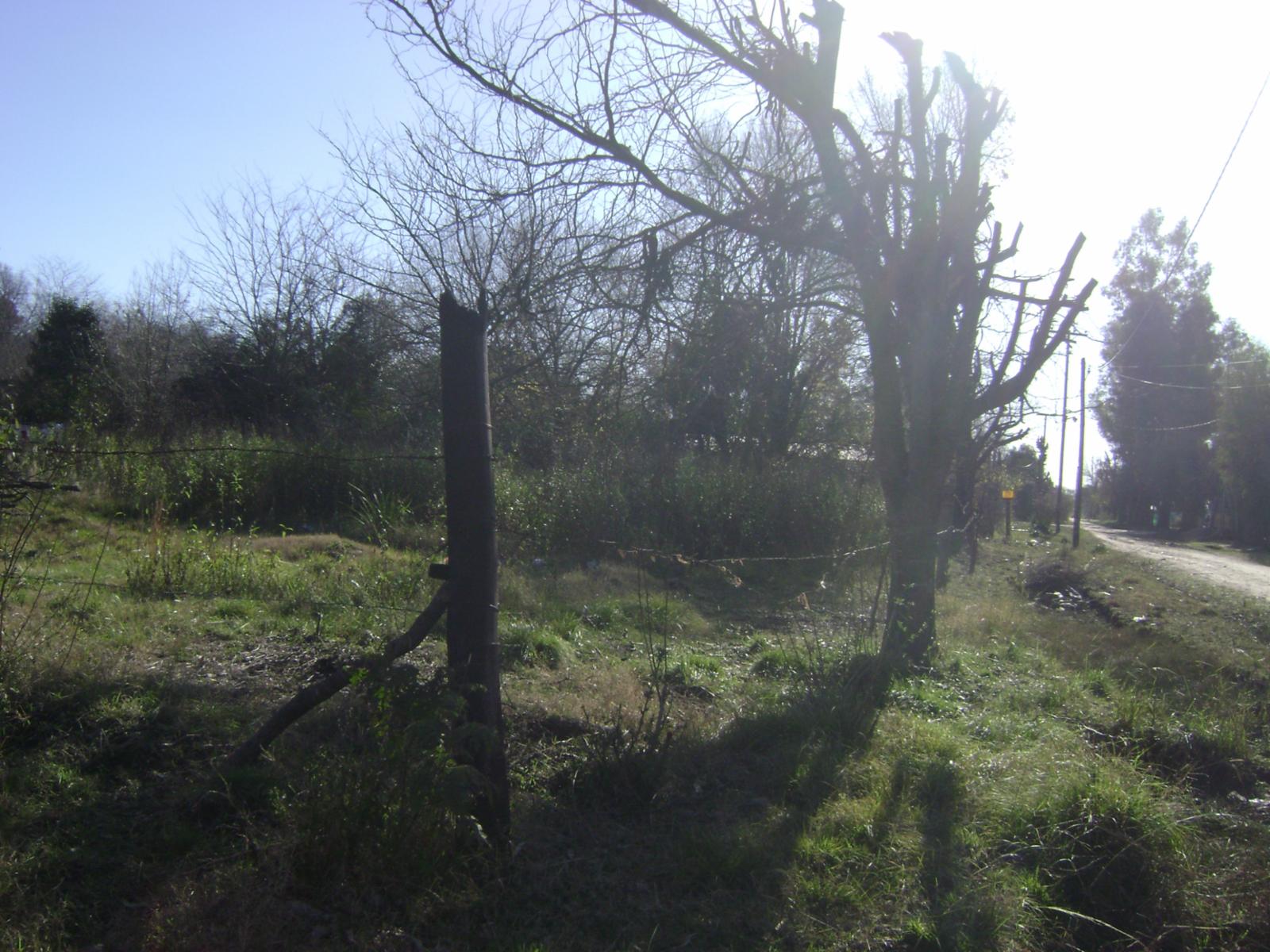 GENERAL RODRIGUEZ - BARRIO YOLI · General Rodriguez — foto 3